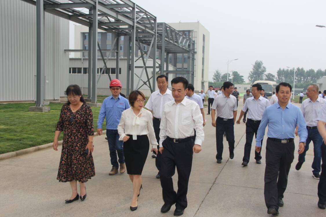 渭南市长李毅视察蒲城TG反波胆科技新质料有限公司