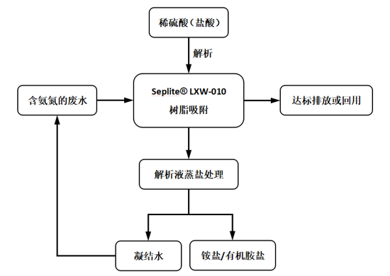 一种不花钱还挣钱的氨氮超标水处置惩罚要领