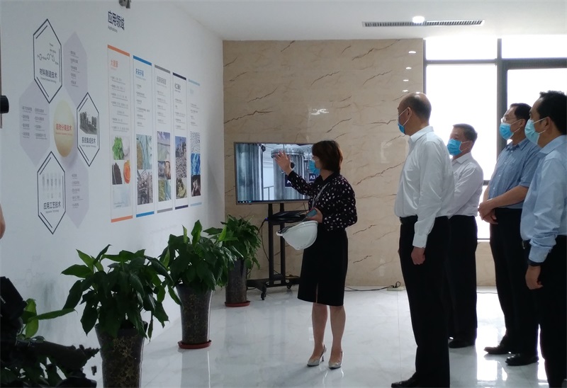 陕西省省长刘国中、西安市市长李明远一行调研高陵TG反波胆工业园