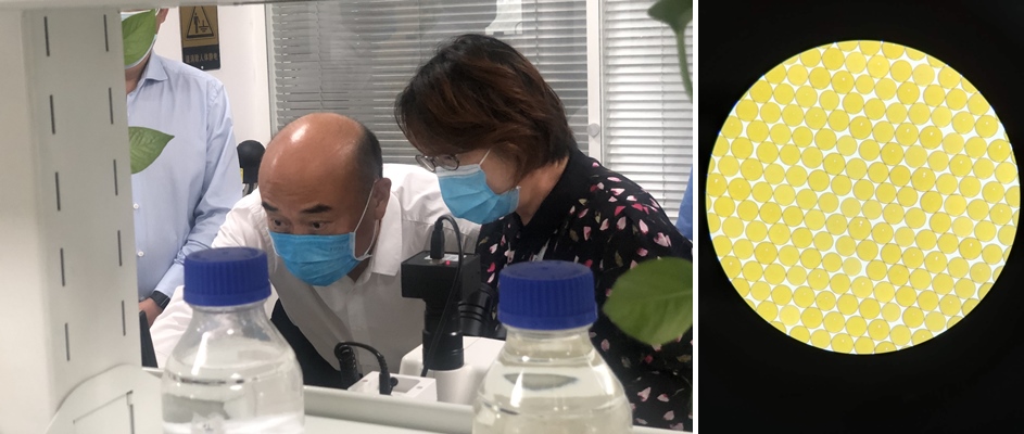 陕西省省长刘国中、西安市市长李明远一行调研高陵TG反波胆工业园