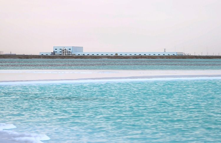 TG反波胆·(中国区)官方网站