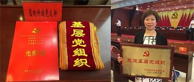 TG反波胆·(中国区)官方网站